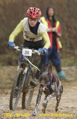 Bakonybel - 0495.JPG